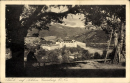Delcampe - CPA Grein An Der Donau Oberösterreich, Blick Auf Schloss Greinburg, Malerische Umgebung, Architek - Autres & Non Classés