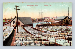 Delcampe - GLOUCESTER, Mass - Drying Fish - Hugh C. Leighton - Fischerei