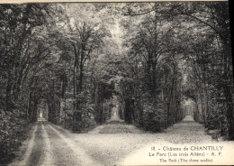 Delcampe - CPA Chateau De Chantilly  Le Parc Les Trois Allees - Chantilly