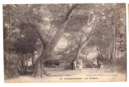 Delcampe - CARQUEIRANNE LE VALLON  ANIMEE ** - Carqueiranne