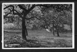 Delcampe - Bourgeois Rixensart Verger - Rixensart