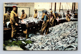 Delcampe - GLOUCESTER, Mass - Splitting Fresh Fish At The Port - Hugh C. Leighton - Fischerei