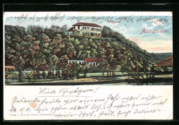 Delcampe - AK Aschersleben, Blick Aufs Burghaus - Aschersleben