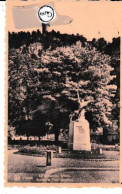 Delcampe - FL Dinant Le Monument Wiertz Rocher Et Tour Montfort - Dinant