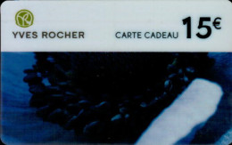 Delcampe - CARTE CADEAU  15 E...YVES ROCHER - Treuekarten