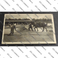 Delcampe - Cartolina Livorno Ferraris-Montù - Essicazione Naturale Del Riso Sulle Aie - Vercelli