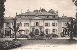 Delcampe - 1 FERNEY CHÂTEAU DE VOLTAIRE - Ferney-Voltaire