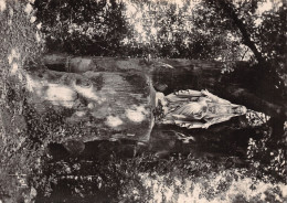 Delcampe - 36-ISSOUDUN-N°4186-C/0255 - Issoudun