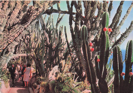 Delcampe - MONACO MONACO LE JARDIN EXOTIQUE - Andere & Zonder Classificatie