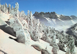 Delcampe - 74 CHATEL LES PISTES DU MORCLAN - Châtel