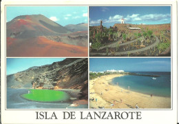 Delcampe - Lanzarote (Spagna) Parque Timanfaya, Jardin Cactus, Playa Flamingo, Jameos Del Agua, Puerto Del Carmen, Lot 4 Cartoline - Lanzarote