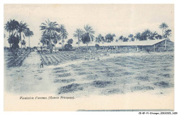 Delcampe - CB-BFP1-0831-GUINEE - Plantation D'Ananas - Französisch-Guinea