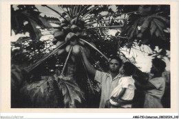Delcampe - AMGP10-1053-CAMEROUN - Mission Catholique A YOKO - Le Papayer - Kamerun