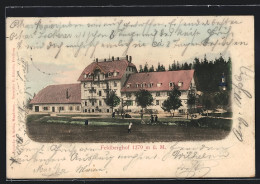 Delcampe - AK Feldberg / Schwarzwald, Hotel Feldberghof - Feldberg