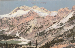 Delcampe - SL2054  --  TRIGLAV  VON VELOPOLJE   --  1900 - Slowenien