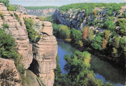 Delcampe - 43 YSSINGEAUX LES GORGES DE L ARDECHE AU DEFILE DE RUOMS - Yssingeaux