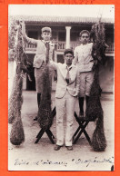 Delcampe - 17020  Rare ️ COSTA-RICA ◉ Carte-Photo 1925s (•◡•) Cassique De MONTEZUMA Nids Oiseaux OROPENDOLA - Costa Rica