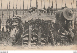 Delcampe - H20-33) ARCACHON - NETTOYAGE DES COLLECTEURS - ANIMATION -  HUITRES  - OSTREICULTURE - ( 2 SCANS ) - Arcachon