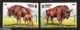Delcampe - Belarus 2024 Bizon 2v, Mint NH, Nature - Animals (others & Mixed) - Bielorrusia