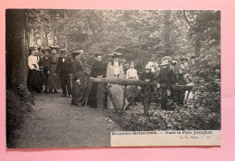 Delcampe - BRUXELLES SCHAERBEEK:  Dans Le Parc Josaphat   (DIER010/69) - Schaerbeek - Schaarbeek