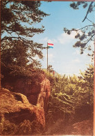 Delcampe - LUXEMBOURG;  BERDORF;  Petite Suisse Luxembourgeoise; 1252 - Ile Du Diable. - Berdorf