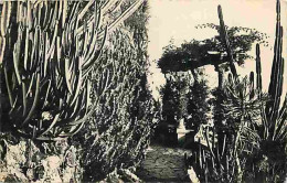 Delcampe - Carte Postale - Monaco - Le Jardin Exotique - CPM - Voir Scans Recto-Verso - Poscard - Carta Postal -  Postkarte - Exotischer Garten