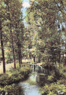 Delcampe - 86 VOUILLE LES OMBRAGES AUX BORDS DE L AUXANCE - Vouille