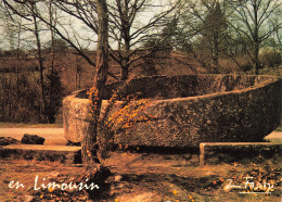 Delcampe - 87 BESSINES LA PIERRE BELLE - Bessines Sur Gartempe