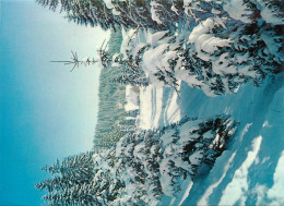 Delcampe - 25 HIVER COMTOIS - Sonstige & Ohne Zuordnung