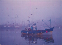 Delcampe - RETOUR DE PECHE - Fischerei