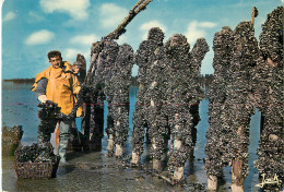 Delcampe - DE MOULES SUR BOUCHOTS - Fischerei