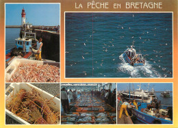 Delcampe - PECHE EN BRETAGNE - Fischerei