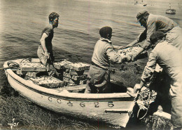 Delcampe - RETOUR DE PECHE - Fischerei