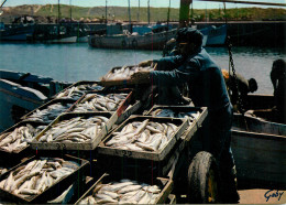 Delcampe - DEBARQUEMENT DU POISSON - Fischerei