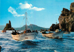 Delcampe - COSTA GRAVA PECHE - Fischerei