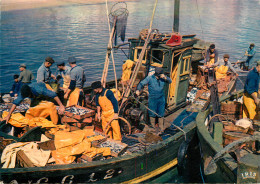 Delcampe - RETOUR DE PECHE - Fischerei