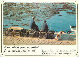 Delcampe - HUMOUR BRETON - Humor