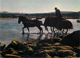 Delcampe - RAMASSAGE DU GOEMON - Fischerei