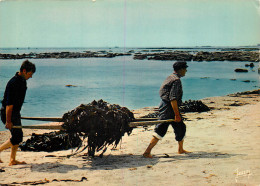 Delcampe - RAMASSEURS DE GOEMON - Fischerei
