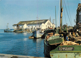 Delcampe - LE CROISIC LE PORT PECHE - Fischerei