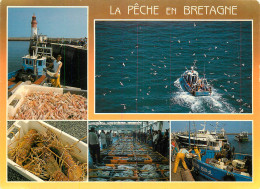 Delcampe - LA PECHE EN BRETAGNE MULTIVUES - Fischerei