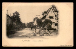 Delcampe - 17 - ROYAN - AVENUE DE L'OASIS - ANE ATTELE - Royan