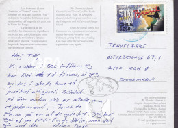 Delcampe - Chile PPC Patagonia Los Guanacos (Lama) 2000 To Denmark Schmetterling Butterfly Papillon (2 Scans) - Chile