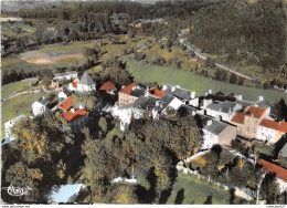 Delcampe - 48-GRANDRIEU- VUE AERIENNE DU VILLAGE - Gandrieux Saint Amans