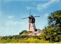 Delcampe - 49-THOUARCE- LE MOULIN - Thouarce