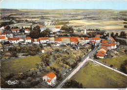 Delcampe - 52-CERFMONT- VUE GENERALE AERIENNE - Clefmont