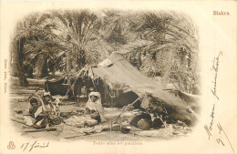 Delcampe - ALGERIE BISKRA TENTE SOUS LES PALMIERS - Biskra