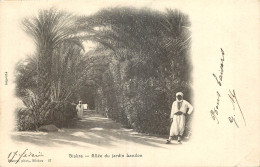 Delcampe - ALGERIE BISKRA ALLEE DU JARDIN LANDON - Biskra