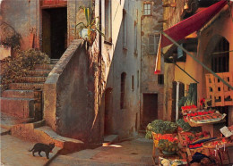 Delcampe - CAGNES Vieille Rue 21(scan Recto-verso) MA1863 - Cagnes-sur-Mer