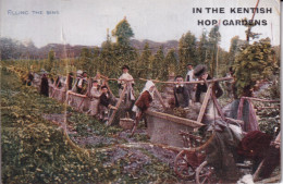Delcampe - B081 Novelty Pull-out Peasants Working Kentish Hop Gardens Filling Bins Postcard - Fantasy